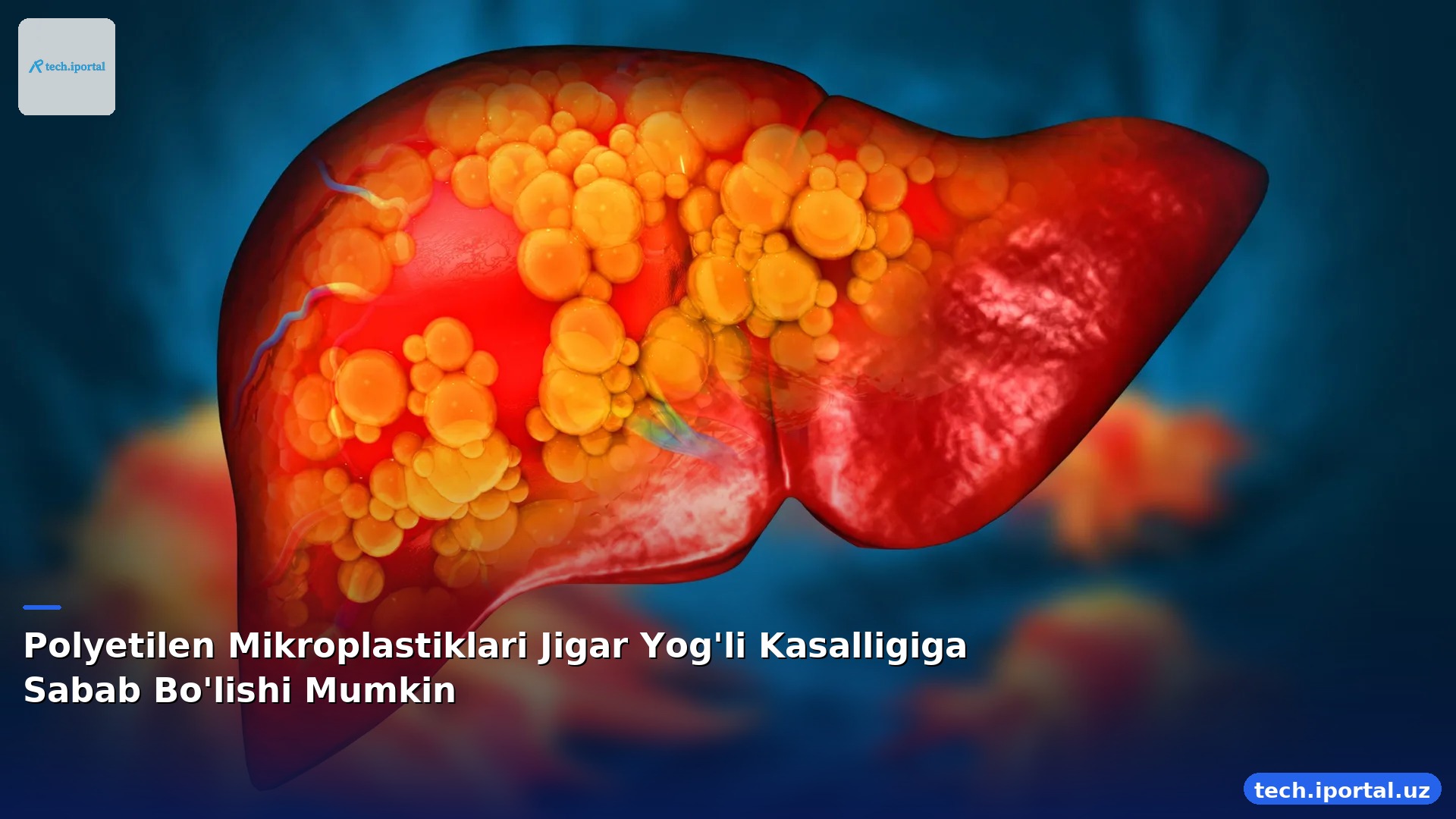 Polyetilen Mikroplastiklari Jigar Yog'li Kasalligiga Sabab Bo'lishi Mumkin