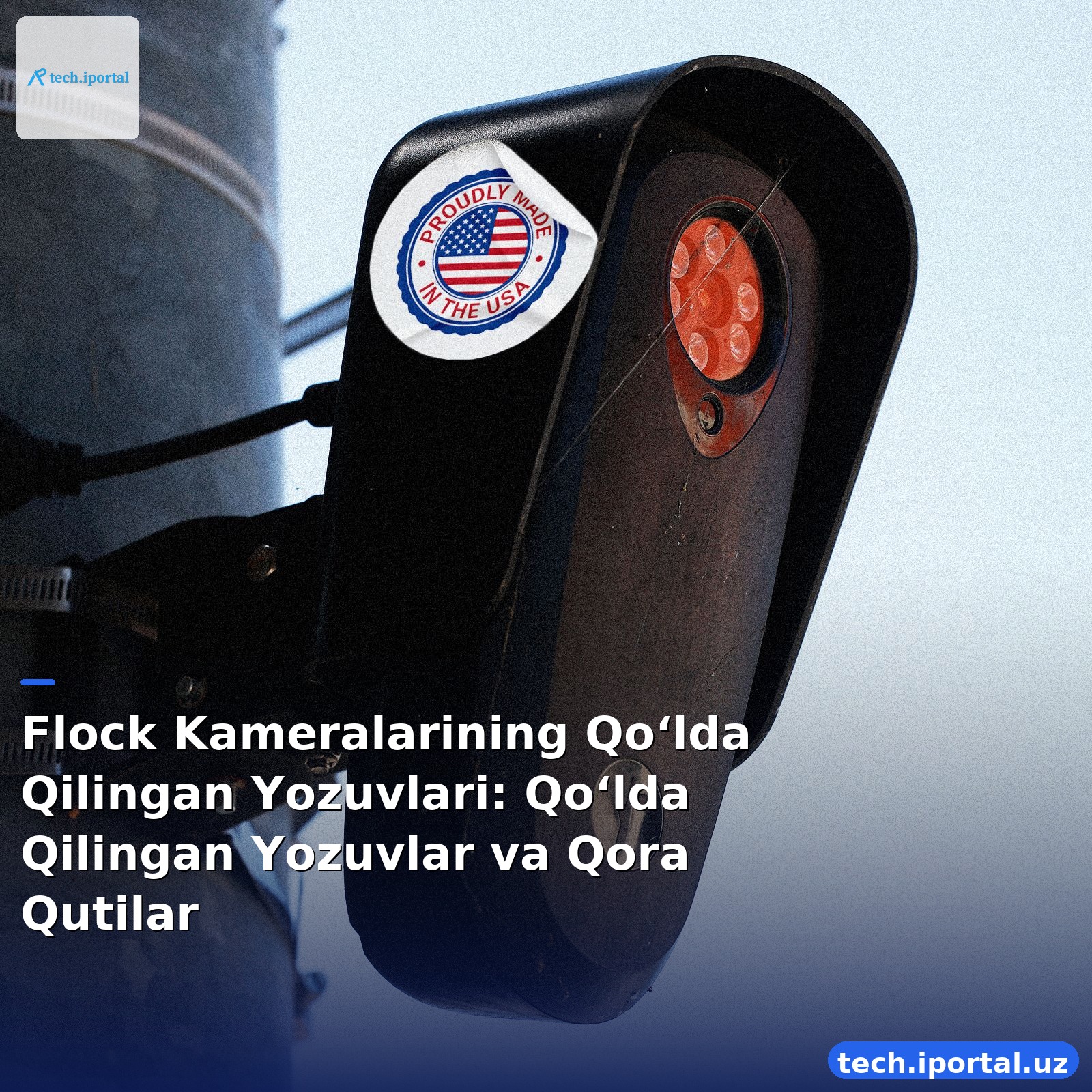Flock Kameralarining Qoʻlda Qilingan Yozuvlari: Qoʻlda Qilingan Yozuvlar va Qora Qutilar