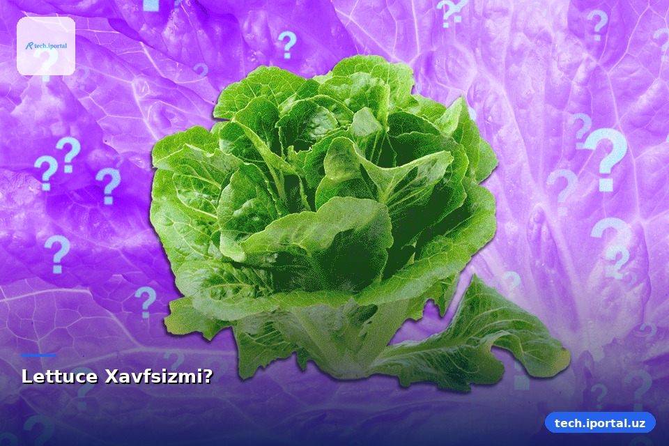 Lettuce Xavfsizmi?