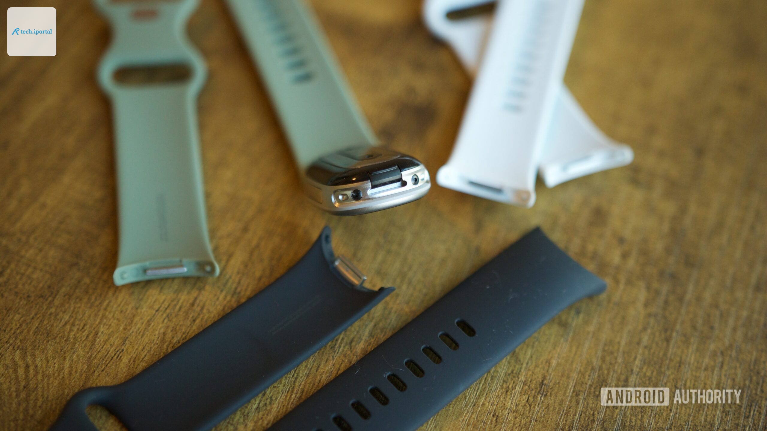 Watch band connector on the Fitbit Edge.