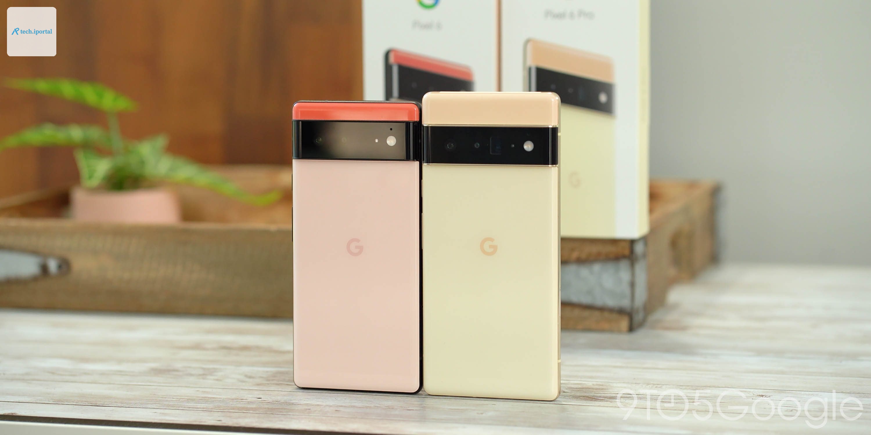 Google Pixel 6 and 6 Pro