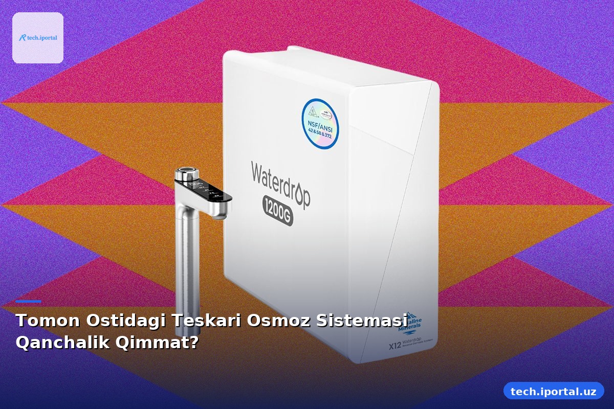 Tomon Ostidagi Teskari Osmoz Sistemasi Qanchalik Qimmat?