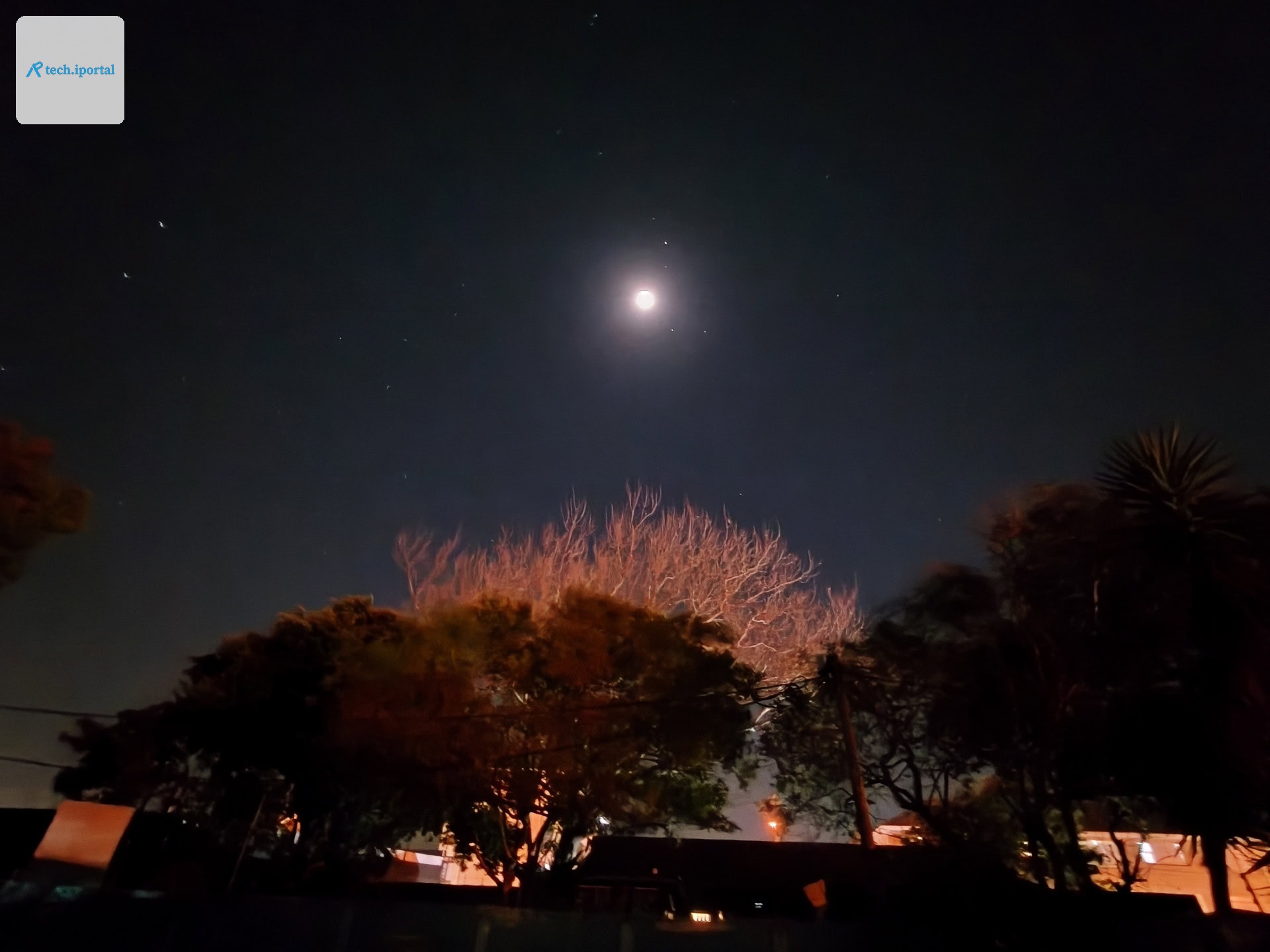OPPO Reno 16 Pro ultrawide at night