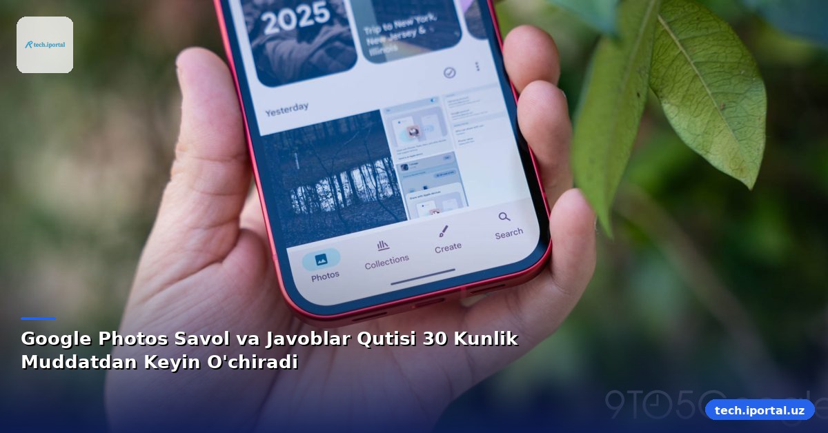 Google Photos Savol va Javoblar Qutisi 30 Kunlik Muddatdan Keyin O'chiradi