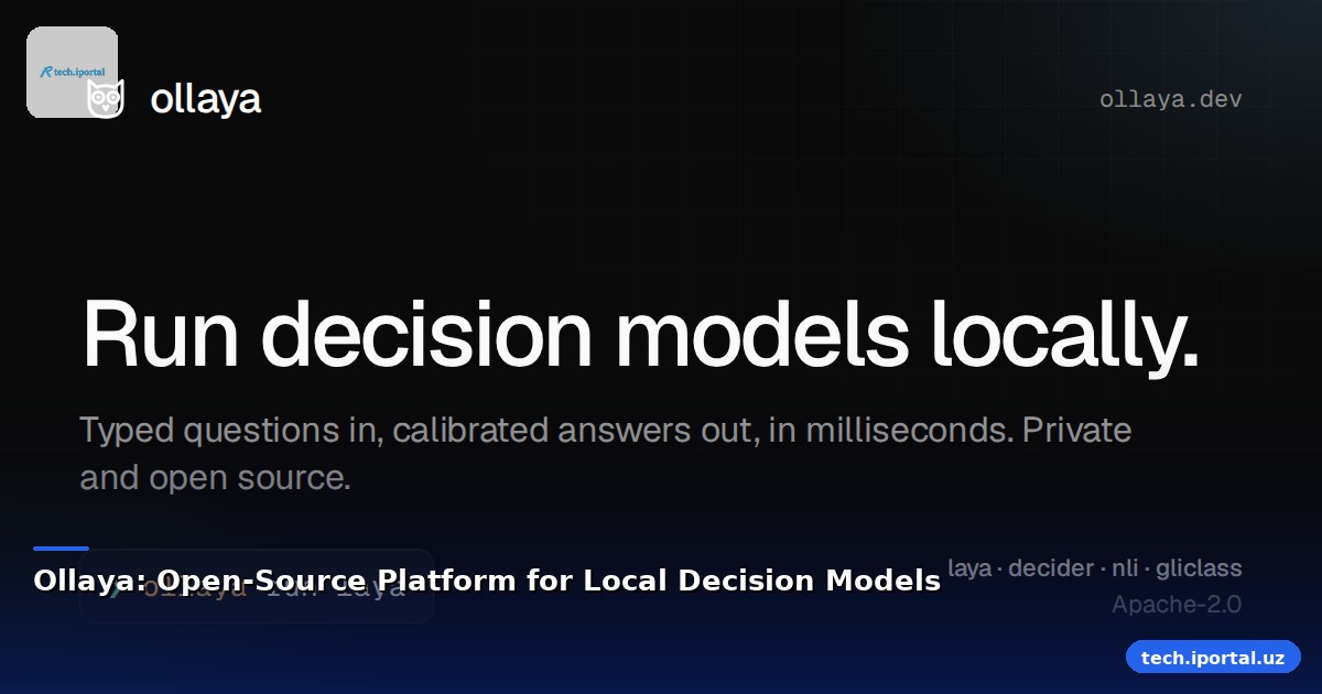 Ollaya: Open-Source Platform for Local Decision Models