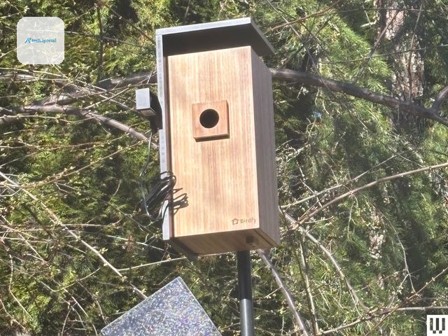 Image may contain: Wood, Hardwood, Stained Wood, and Mailbox