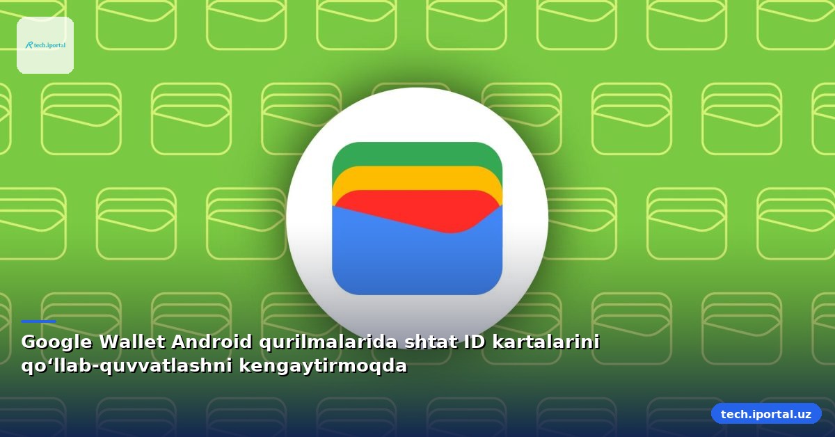 Google Wallet Android qurilmalarida shtat ID kartalarini qo‘llab-quvvatlashni kengaytirmoqda