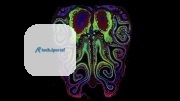 Colorful abstract design resembling an octopus with intricate swirls and patterns.