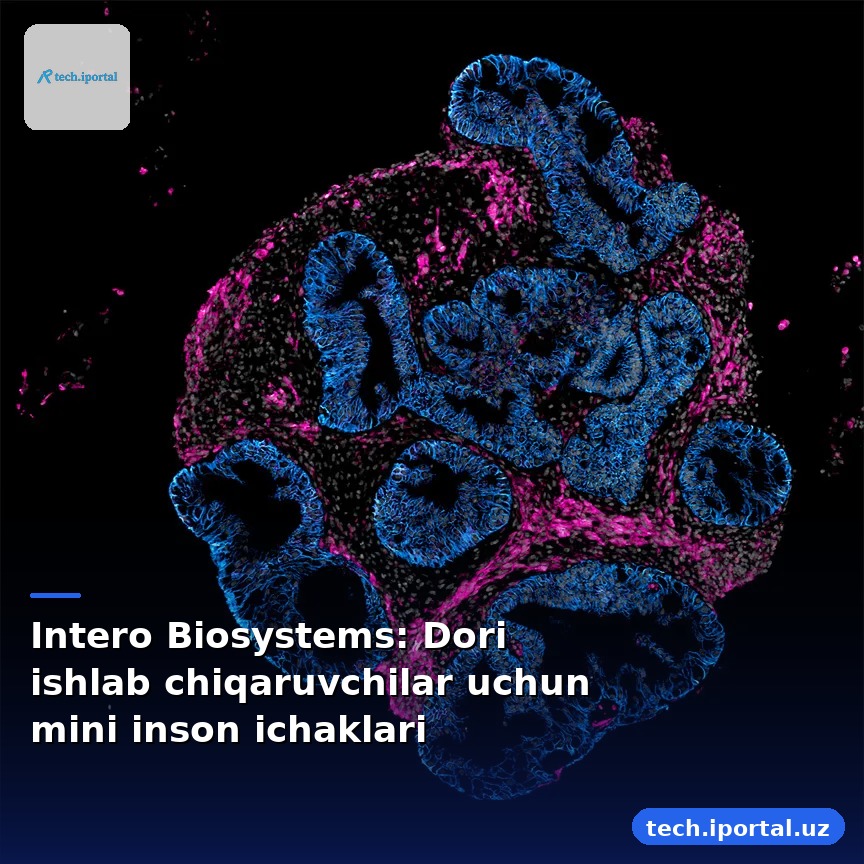 Intero Biosystems: Dori ishlab chiqaruvchilar uchun mini inson ichaklari