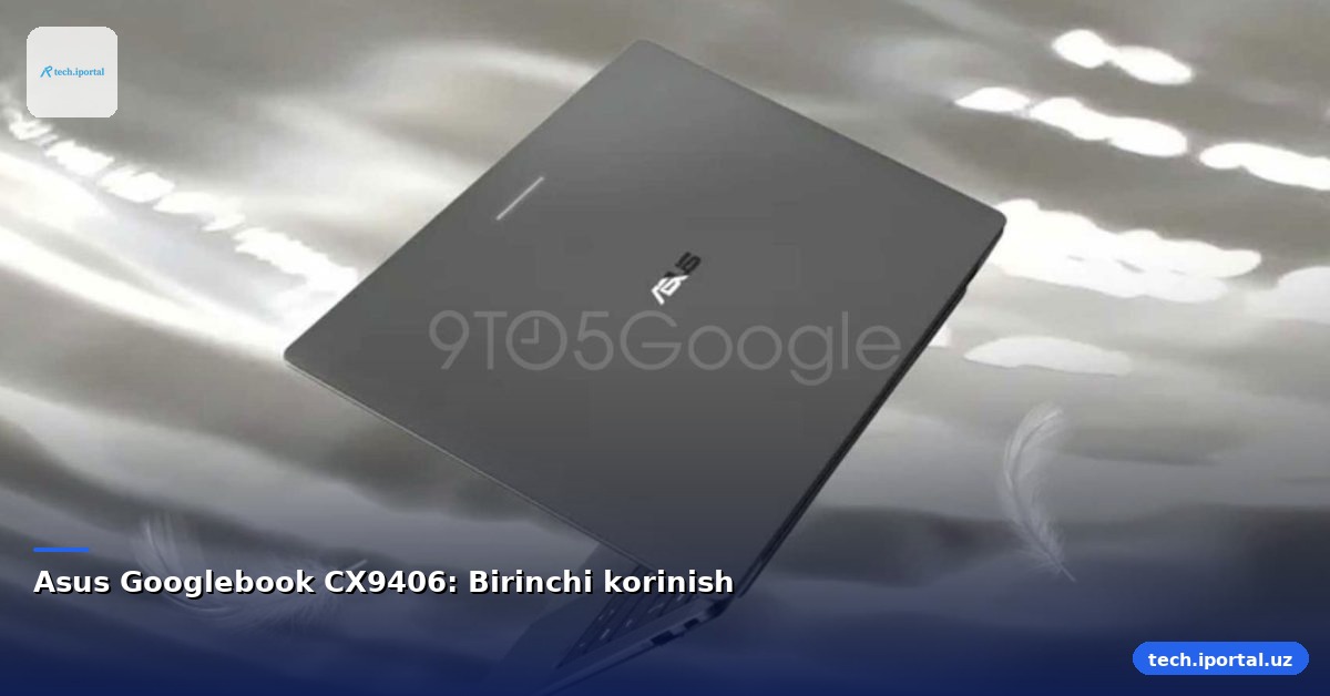 Asus Googlebook CX9406: Birinchi korinish