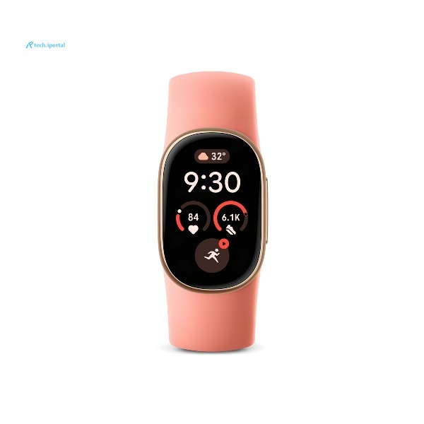 Google Fitbit Edge