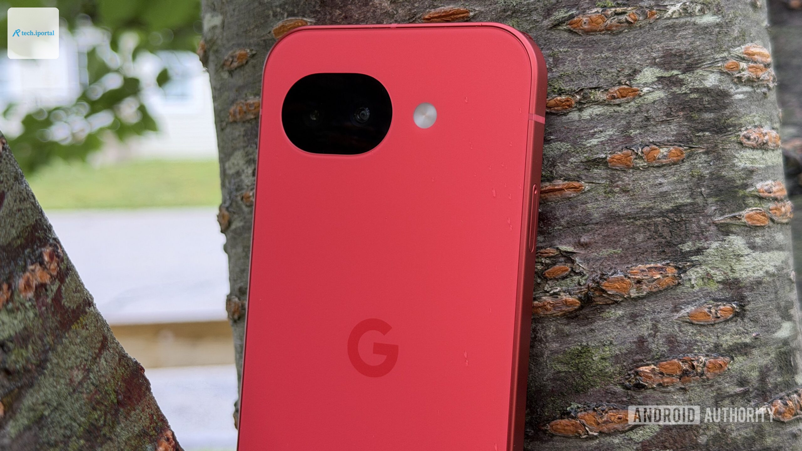 Google Pixel 10a Berry against tree
