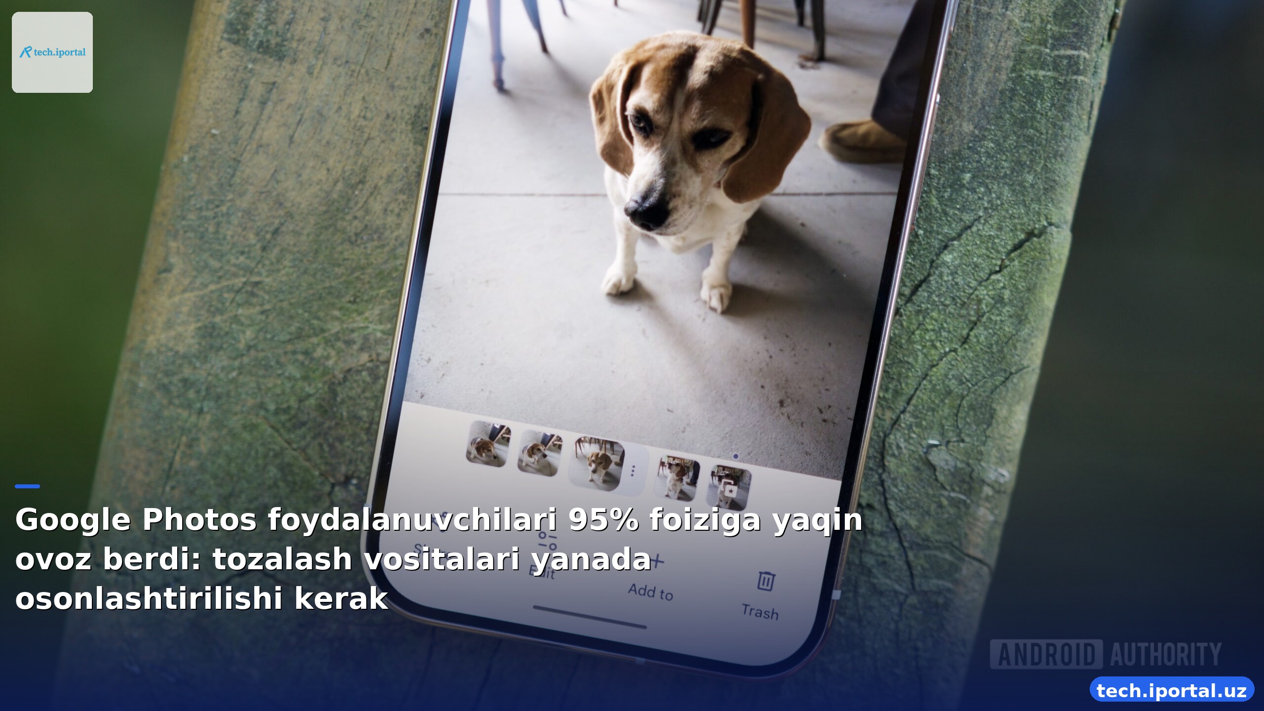 Google Photos foydalanuvchilari 95% foiziga yaqin ovoz berdi: tozalash vositalari yanada osonlashtirilishi kerak