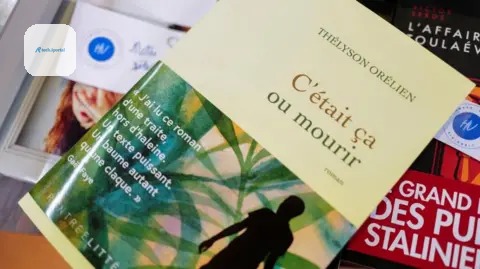 Reuters A book with a yellow cover and French writing sits on top of other books