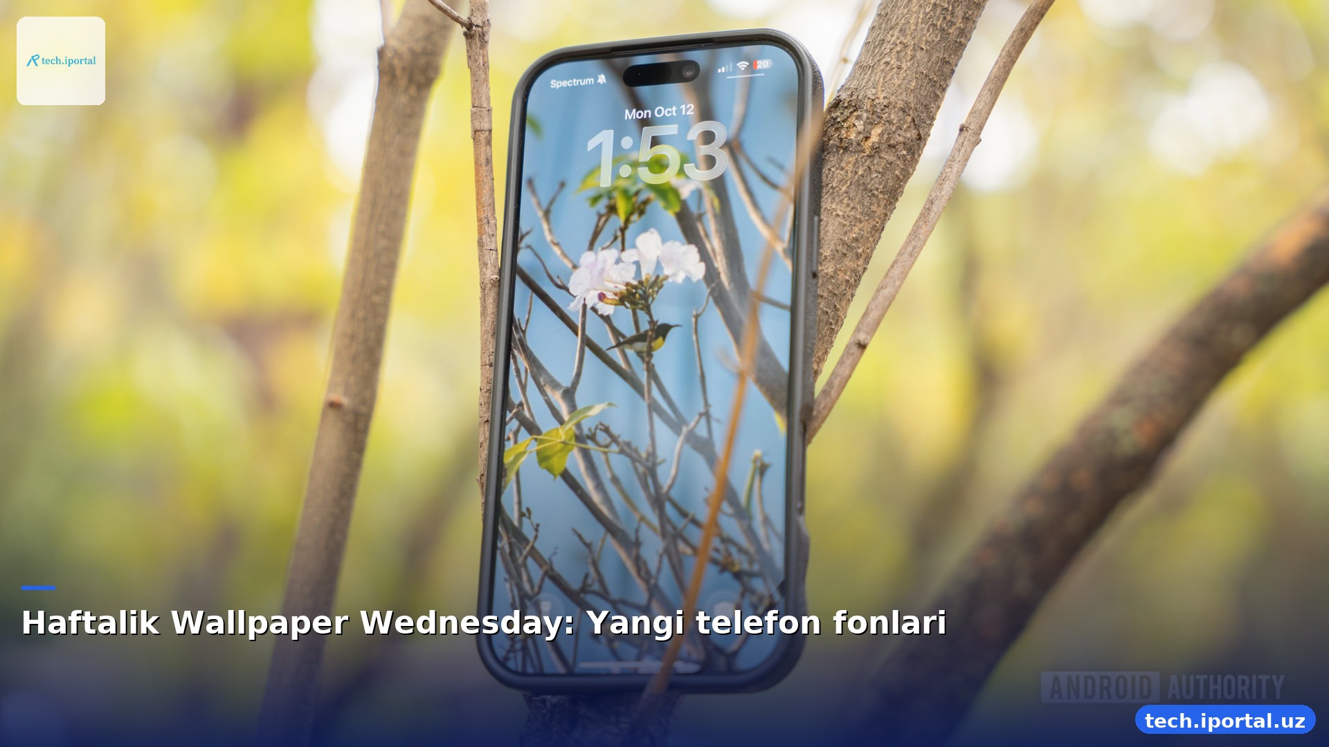 Haftalik Wallpaper Wednesday: Yangi telefon fonlari