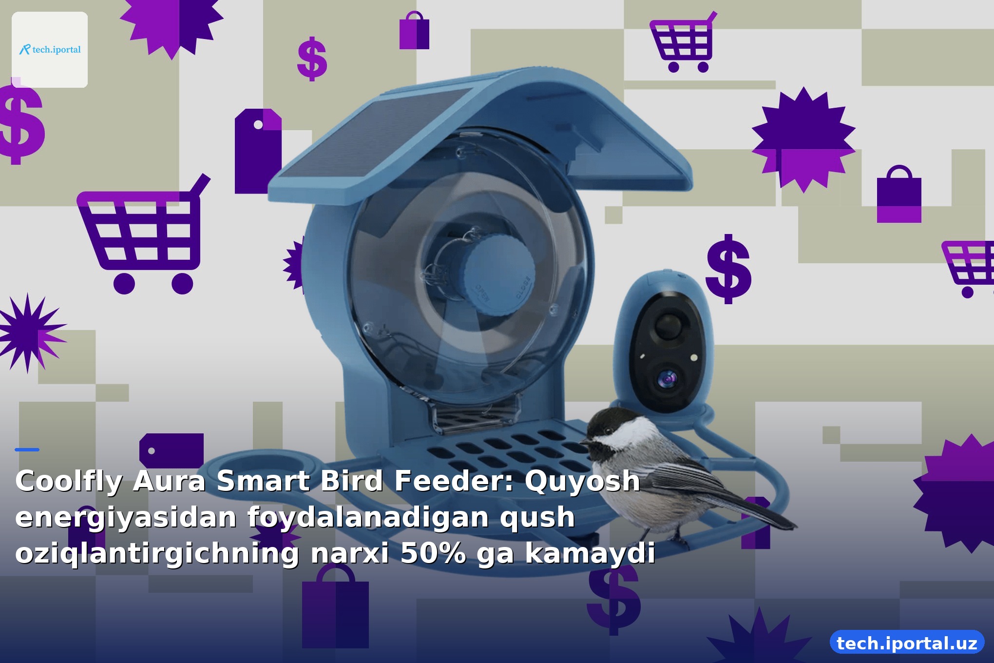 Coolfly Aura Smart Bird Feeder: Quyosh energiyasidan foydalanadigan qush oziqlantirgichning narxi 50% ga kamaydi