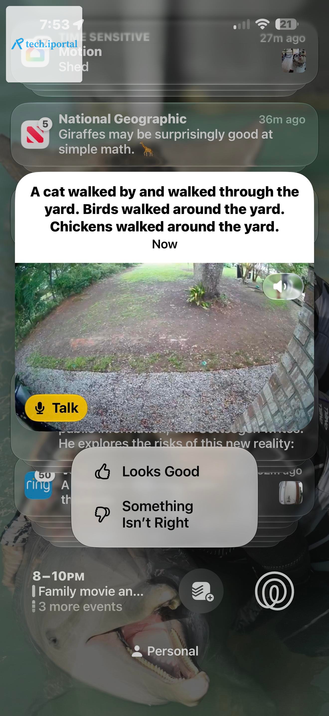 AI-generated video summaries provide text descriptions of what a camera sees.