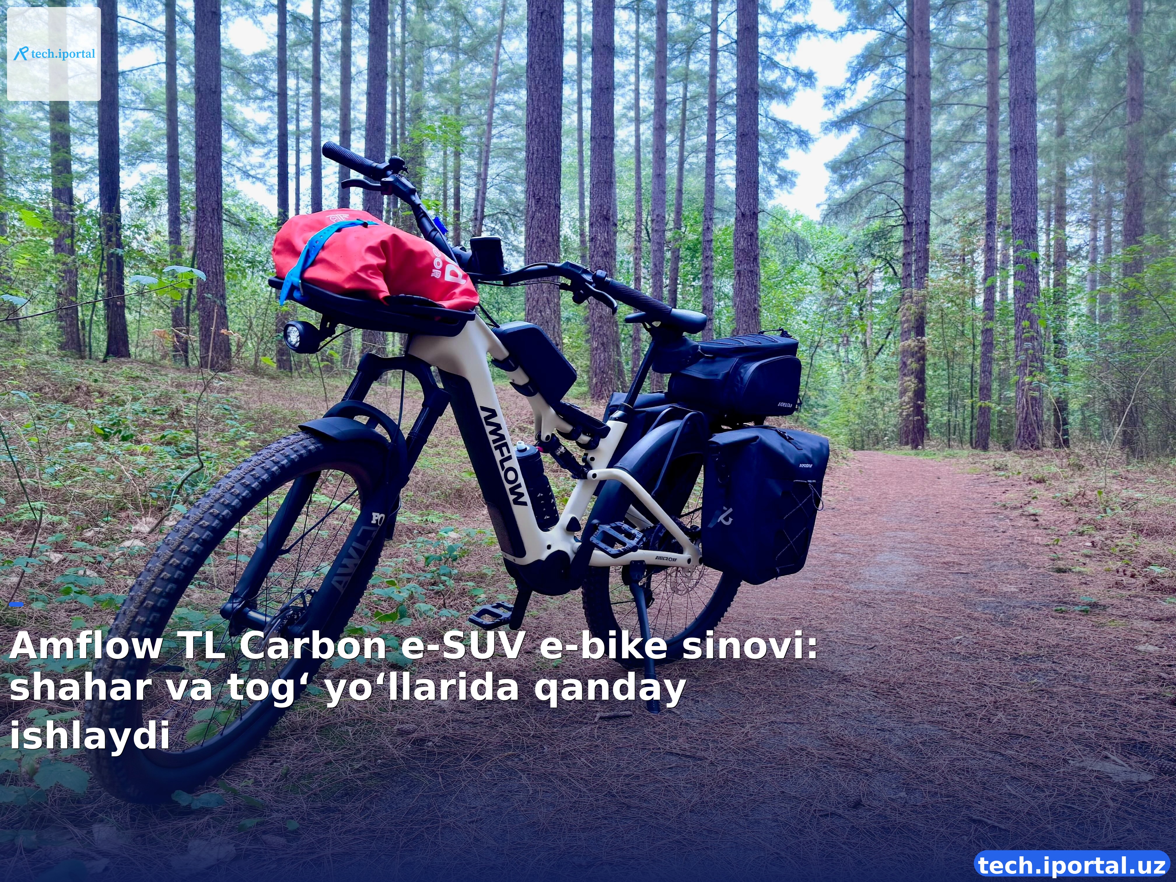 Amflow TL Carbon e‑SUV e‑bike sinovi: shahar va tog‘ yo‘llarida qanday ishlaydi