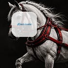 AI’s hottest new layer isn’t the model. It’s the harness