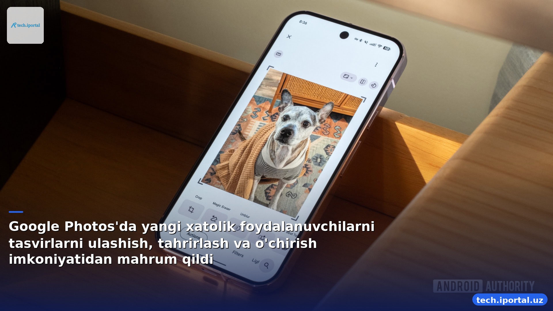 Google Photos'da yangi xatolik foydalanuvchilarni tasvirlarni ulashish, tahrirlash va o'chirish imkoniyatidan mahrum qildi