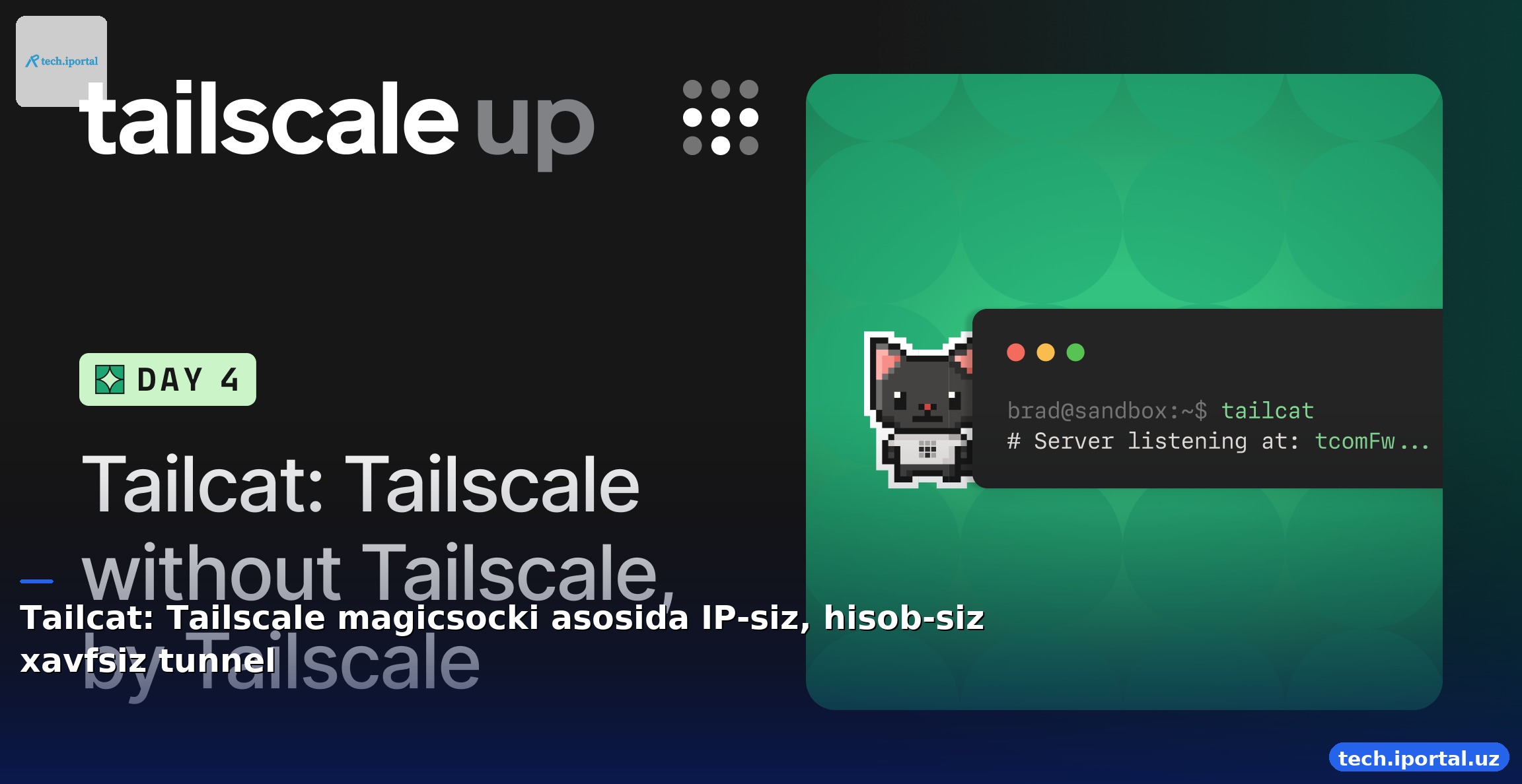 Tailcat: Tailscale magicsocki asosida IP‑siz, hisob‑siz xavfsiz tunnel