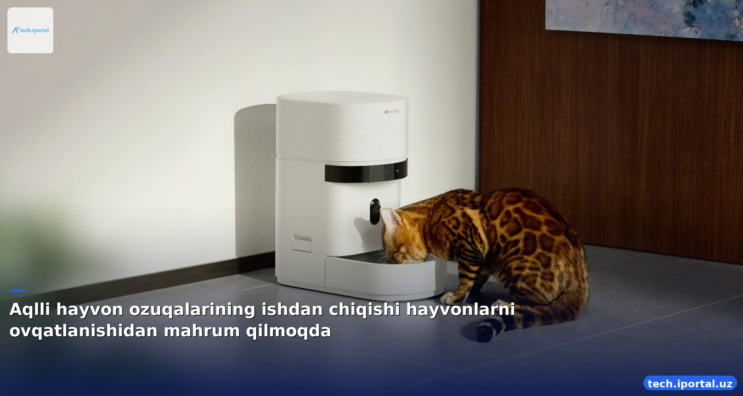 Aqlli hayvon ozuqalarining ishdan chiqishi hayvonlarni ovqatlanishidan mahrum qilmoqda