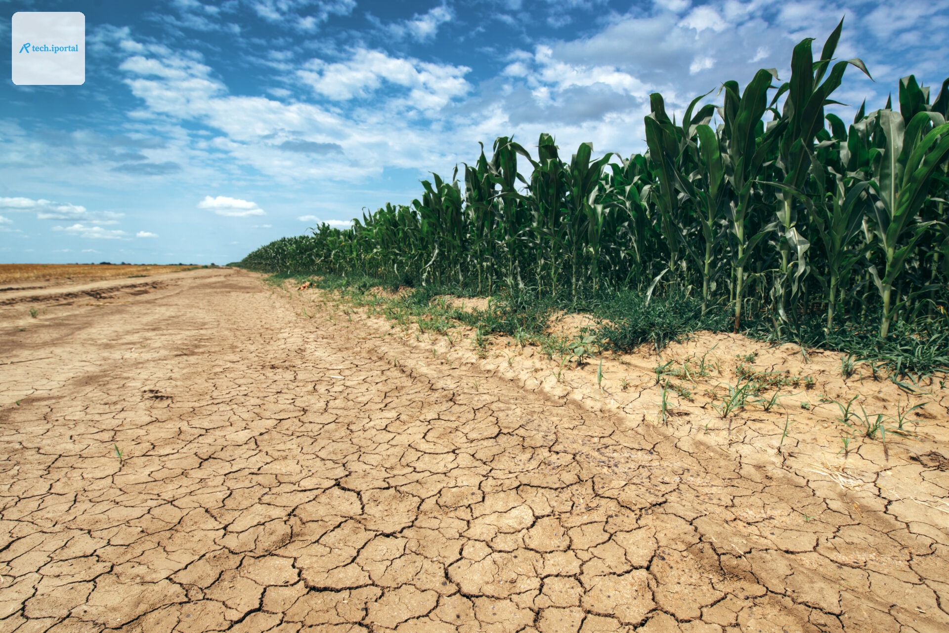 Freshwater_change_AdobeStock