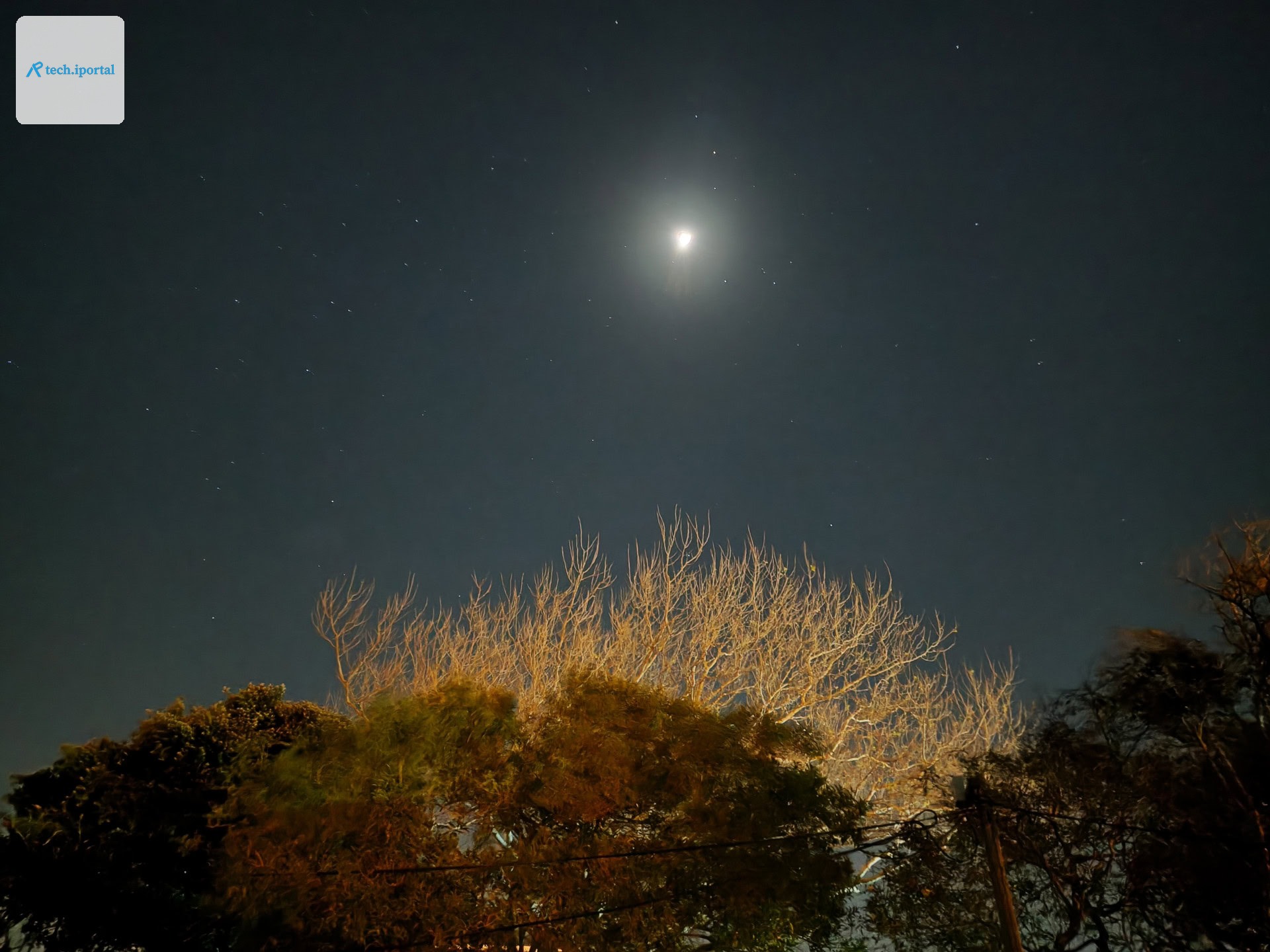 OPPO Reno 16 Pro 1x at night