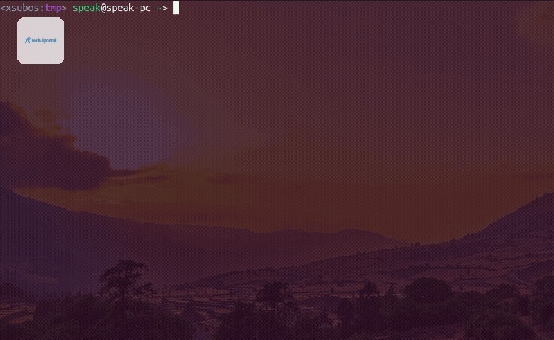 mcpp demo