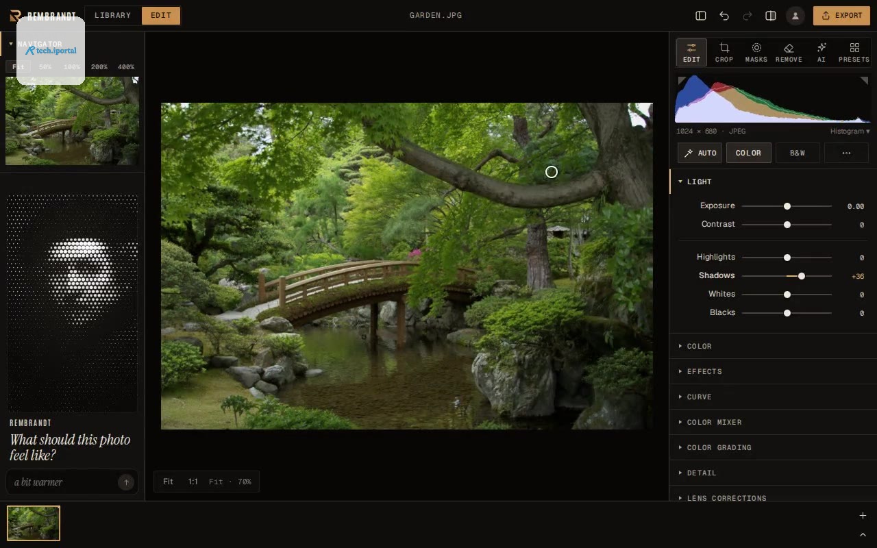 Dragging on the photo to change the tone under the pointer