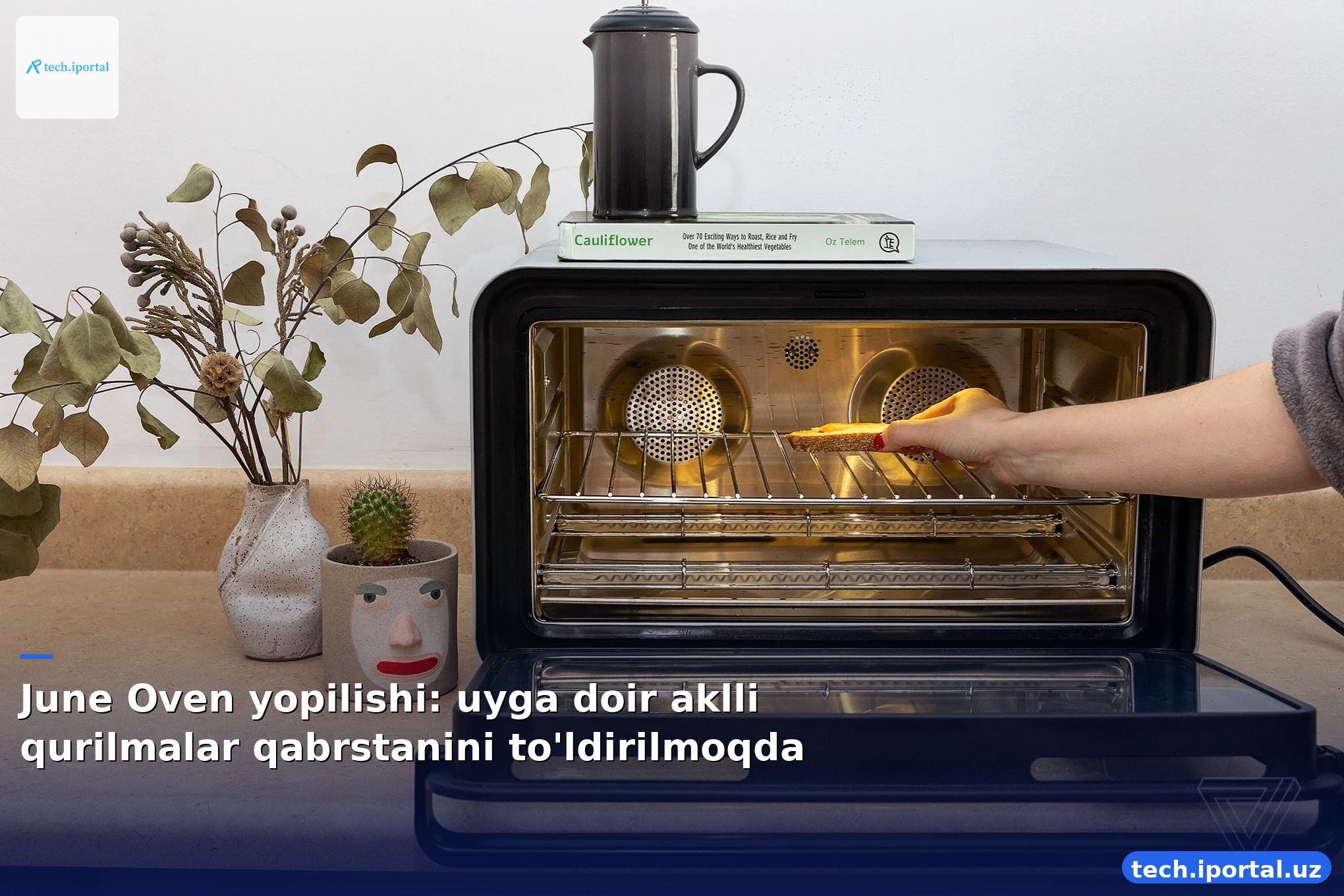 June Oven yopilishi: uyga doir aklli qurilmalar qabrstanini to'ldirilmoqda