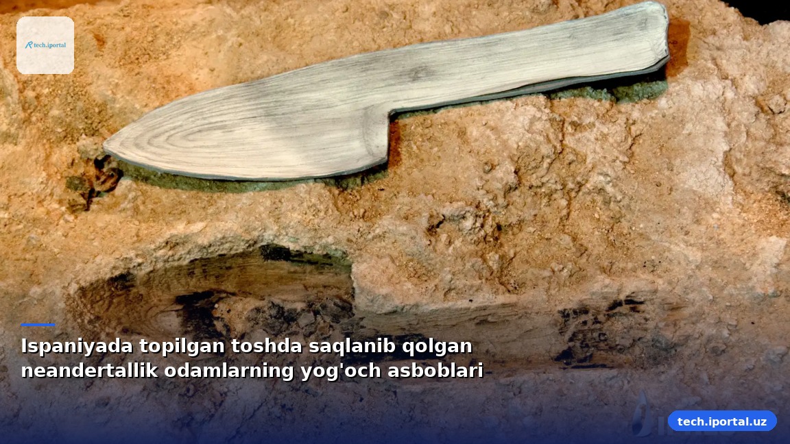 Ispaniyada topilgan toshda saqlanib qolgan neandertallik odamlarning yog'och asboblari