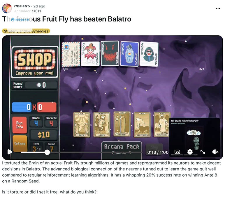 fruit fly balatro reddit post