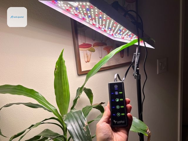 Closeup of a narrow lamp and a person's hand holding the remote in front of a houseplant