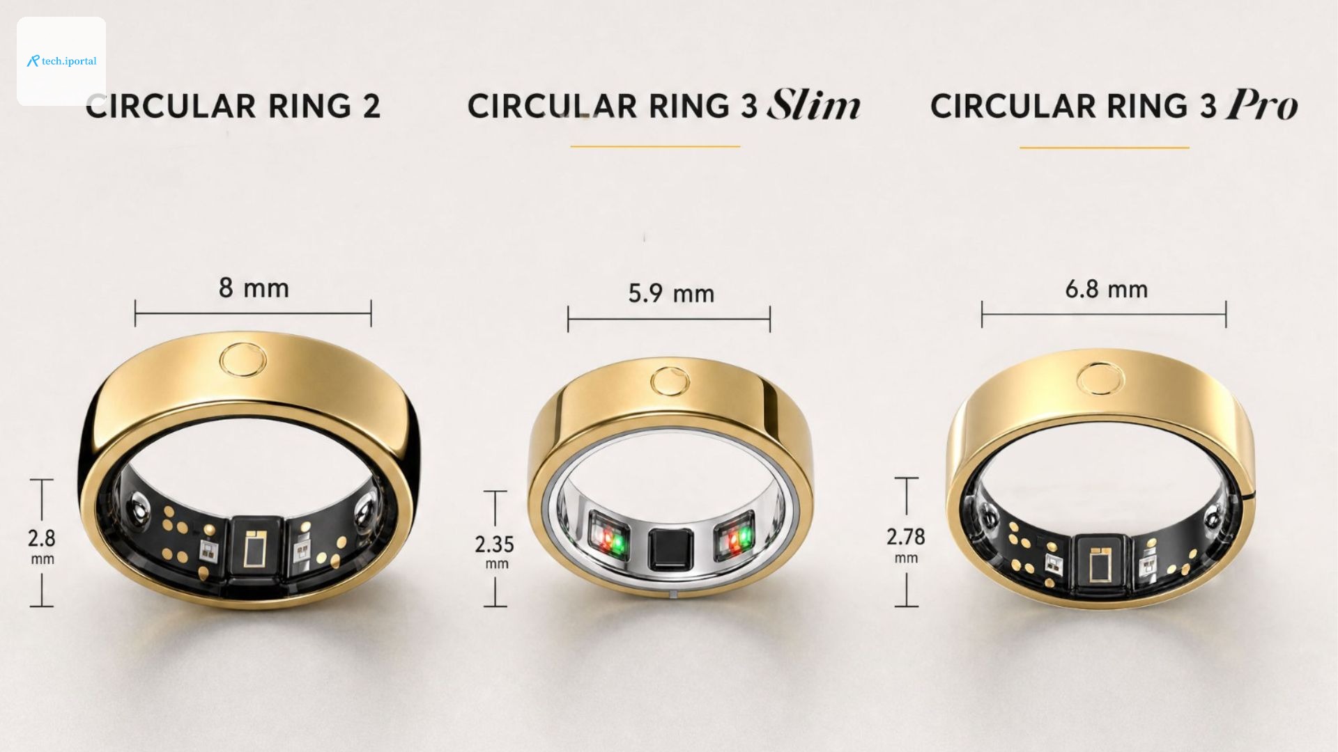 circular ring 2 3 sizes