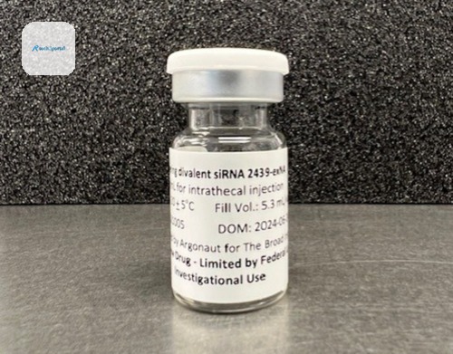 Vial of the divalent siRNA drug candidate