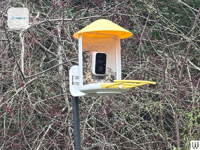 Image may contain: best smart Bird Feeder