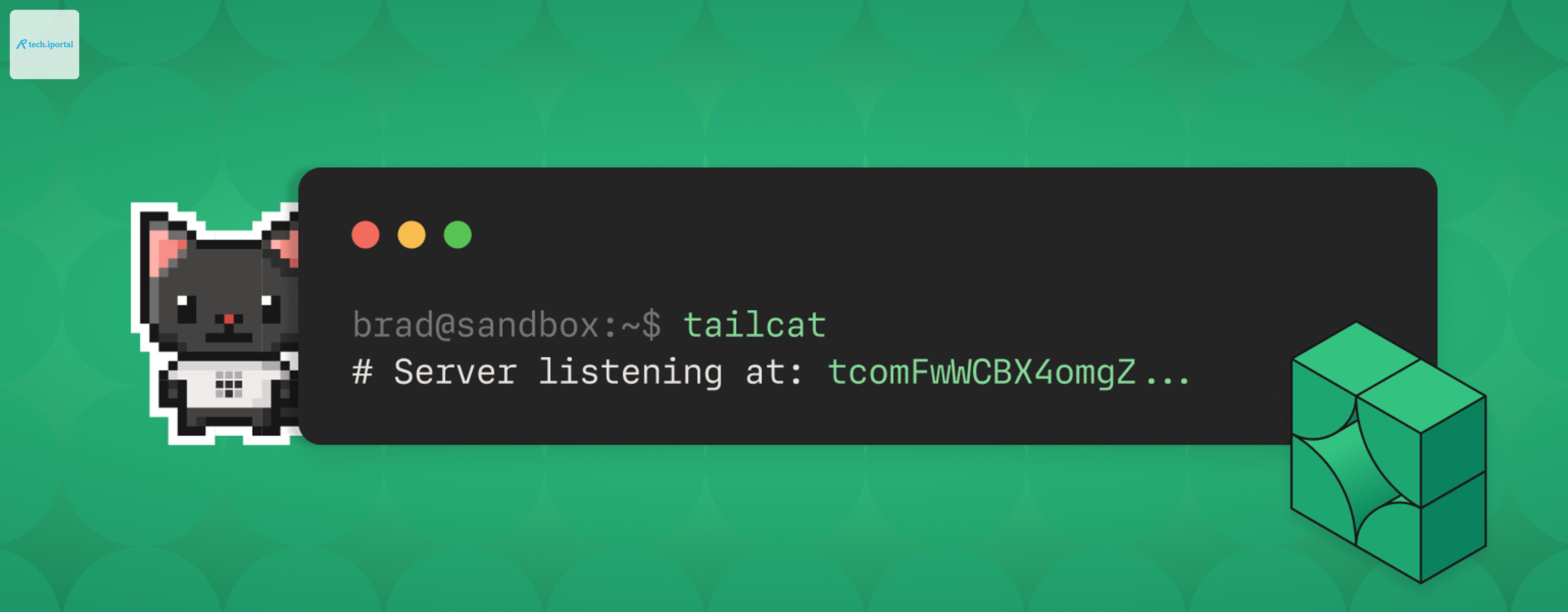 Pixel art black cat with pink ears on green background next to terminal window showing 'tailcat' command and server listening message with red, yellow, and green status dots.