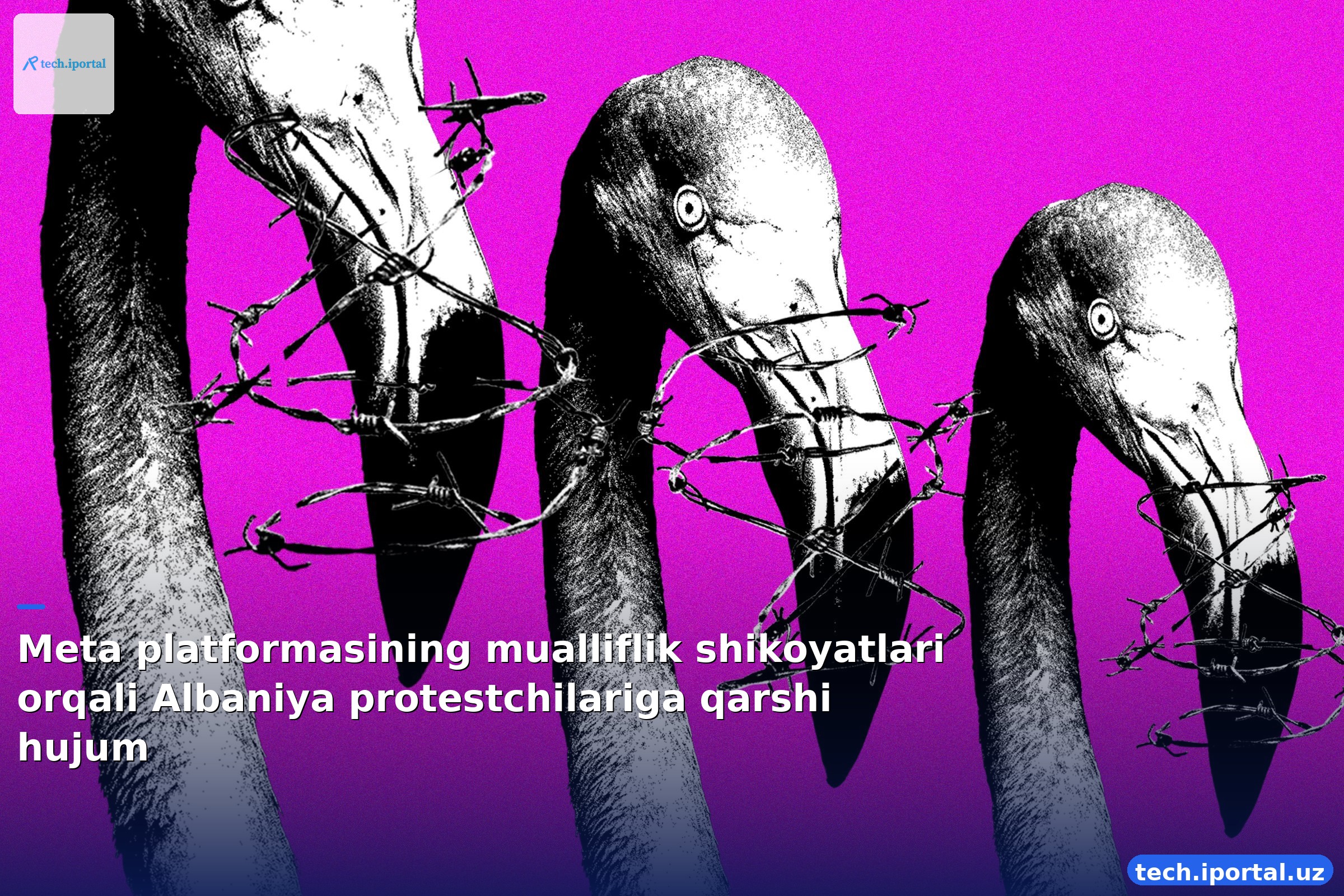 Meta platformasining mualliflik shikoyatlari orqali Albaniya protestchilariga qarshi hujum
