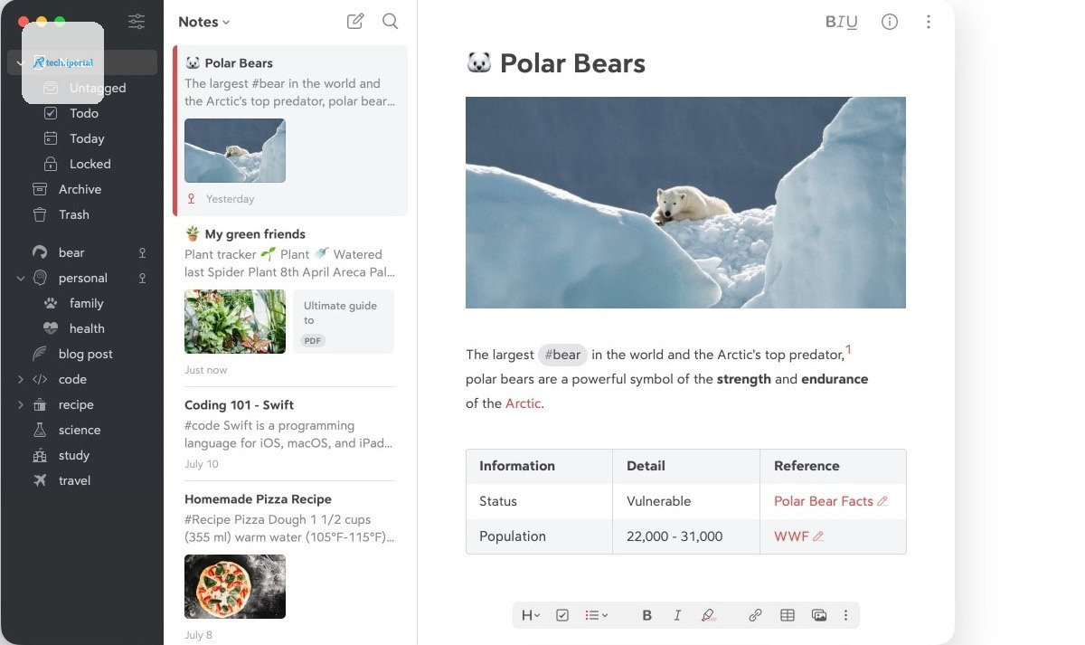 bear notes