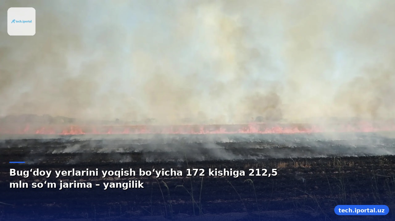Bug‘doy yerlarini yoqish bo‘yicha 172 kishiga 212,5 mln so‘m jarima – yangilik