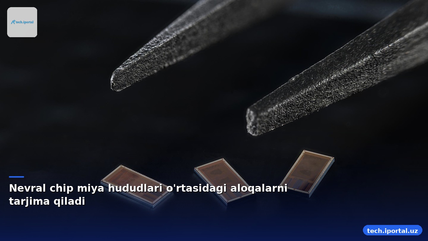 Nevral chip miya hududlari o'rtasidagi aloqalarni tarjima qiladi