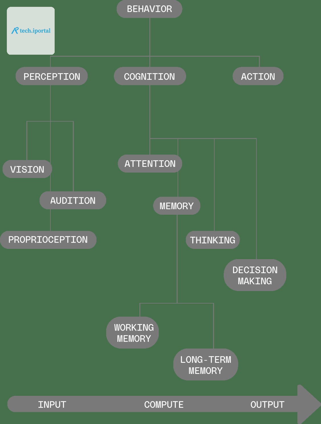 This graphic illustrates the classic computational model of the mind. On the left is “perception”, the input that humans take in; centered is “cognition,” the processing of that input in some fashion;